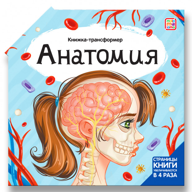Превью картинки