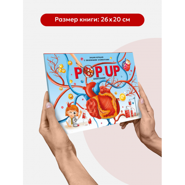 POP UP энциклопедия. Анатомия книжка-панорамка