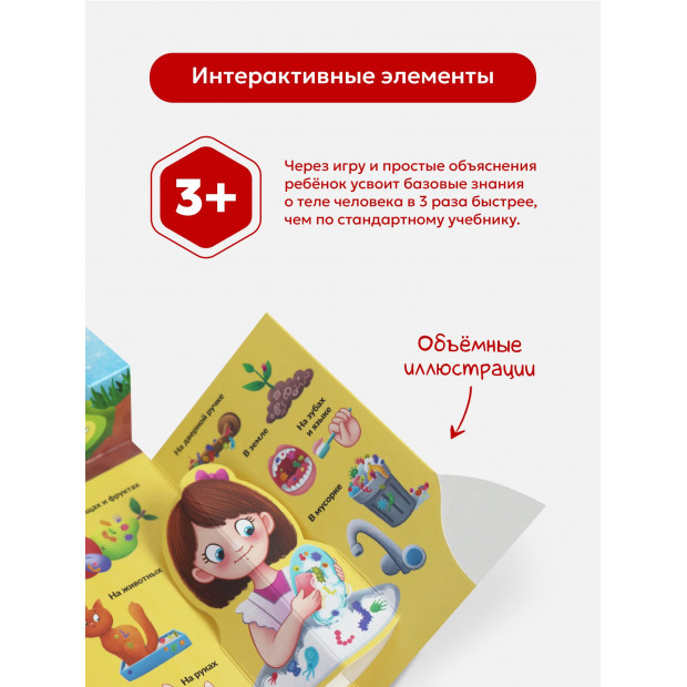 POP UP энциклопедия. Вирусы и бактерии книжка-панорамка