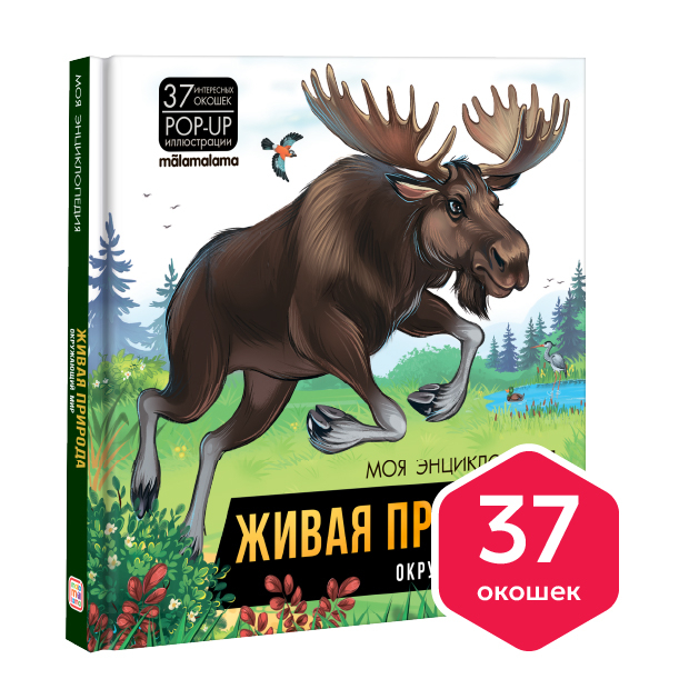 Превью картинки