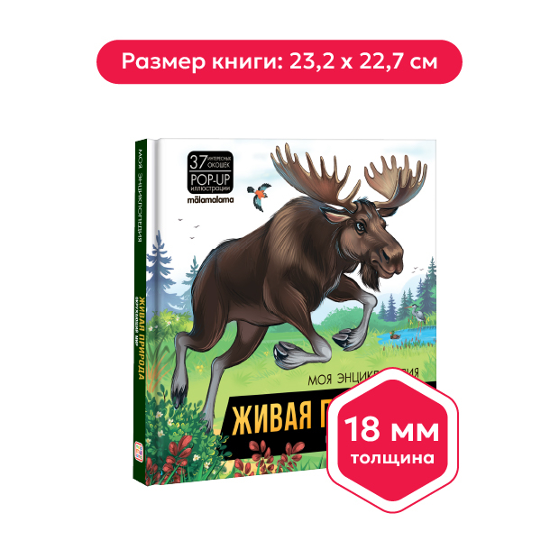 Моя энциклопедия. Живая природа. Окружающий мир
